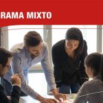 Organigrama mixto