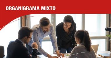 Organigrama mixto